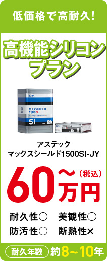 高機能シリコン