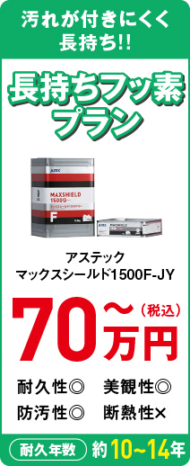 長持ちフッ素