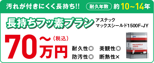 フッ素プラン