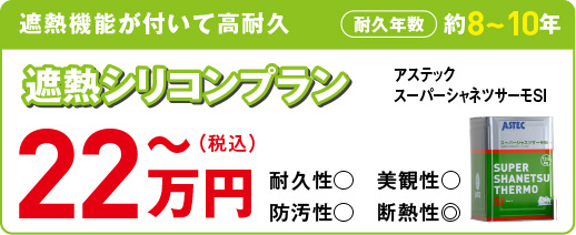 22万プラン